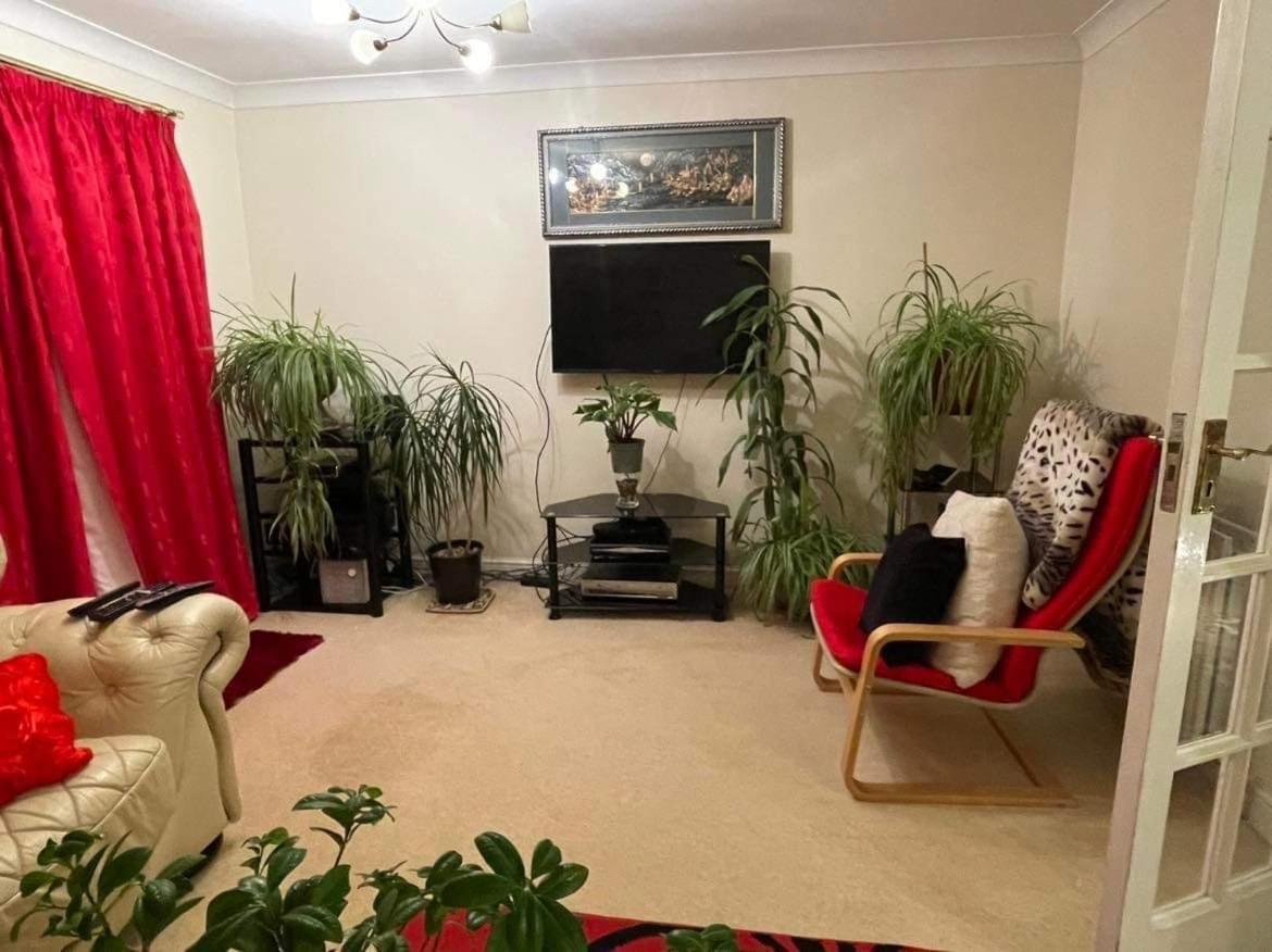Cozy Homestay Croydon Ngoại thất bức ảnh