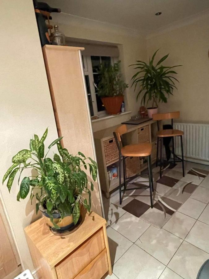 Cozy Homestay Croydon Ngoại thất bức ảnh