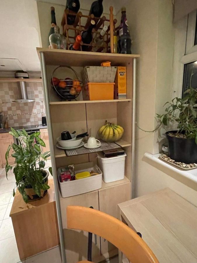 Cozy Homestay Croydon Ngoại thất bức ảnh