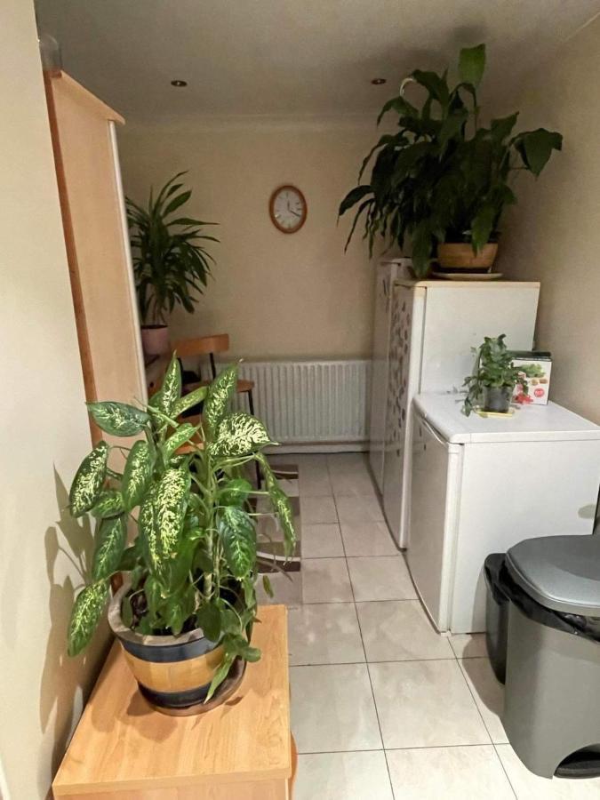 Cozy Homestay Croydon Ngoại thất bức ảnh